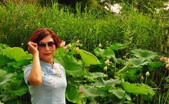 整篇都是车的男女主文推荐